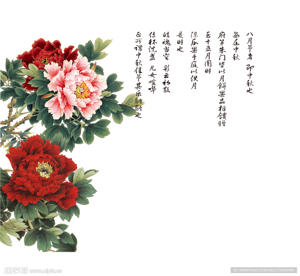 牡丹花