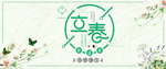立春 清爽花边海报