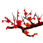 梅花