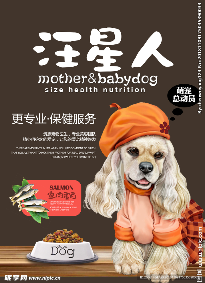 宠物海报