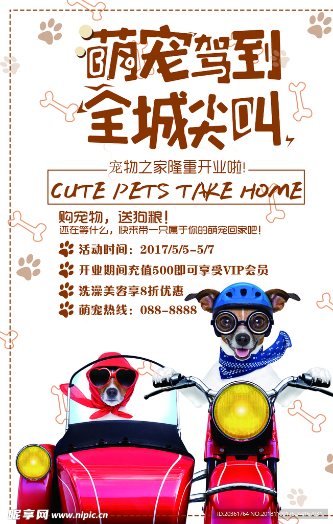 宠物海报