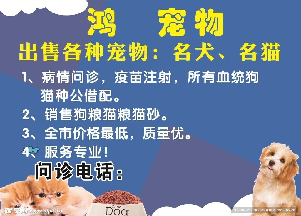 宠物狗海报 宠物猫海报 宠物店