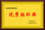 木托奖牌优秀组织奖