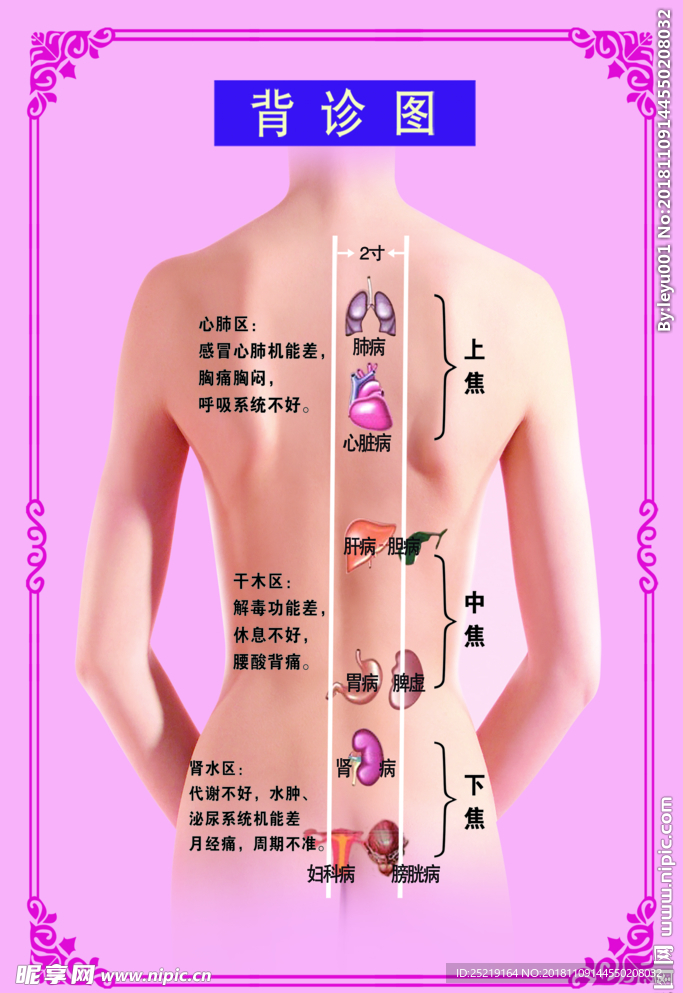 背诊图