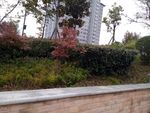 社区景观