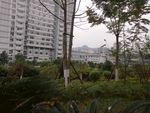 社区景观