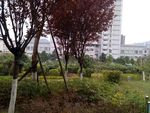 社区景观