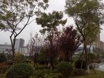 社区景观