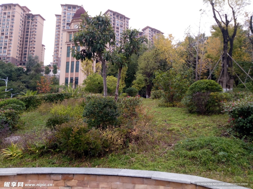 社区景观