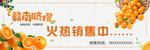 赣南脐橙海报图片