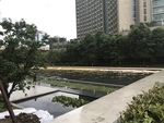 水池