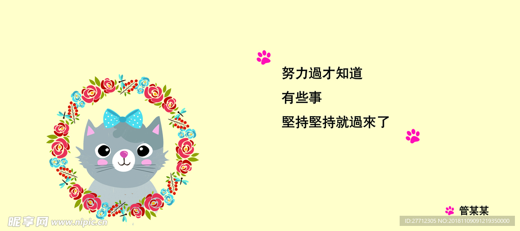 小清新猫猫