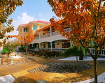 小区红叶