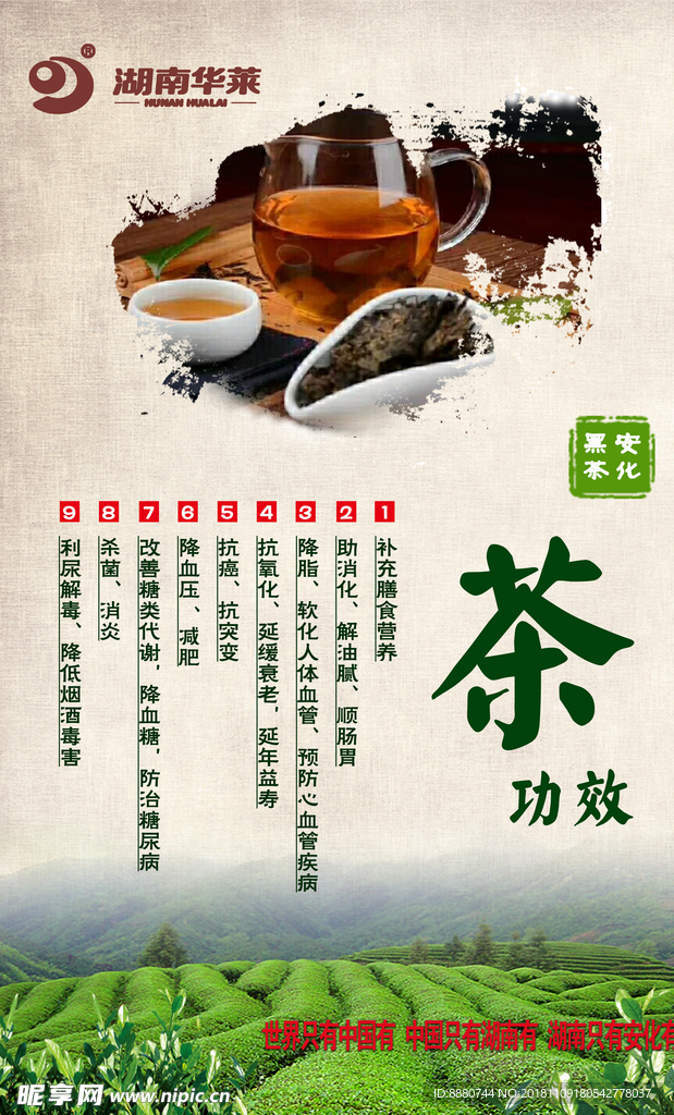 茶  宣传彩页 海报