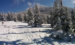 冬天高山雪地风景图片
