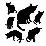猫