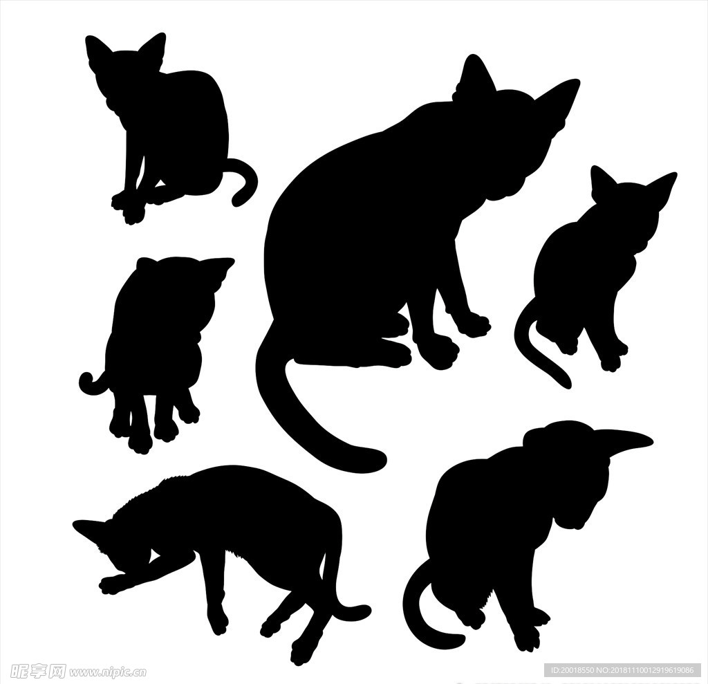 猫