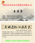 娃娃鱼