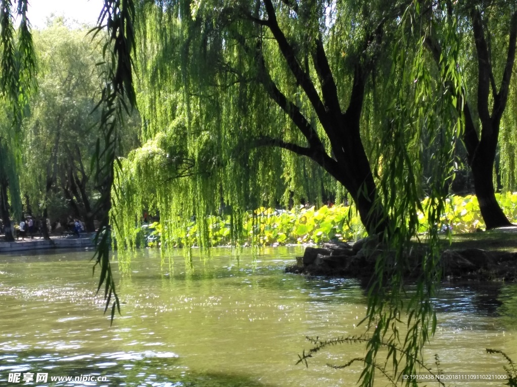 圆明园美景