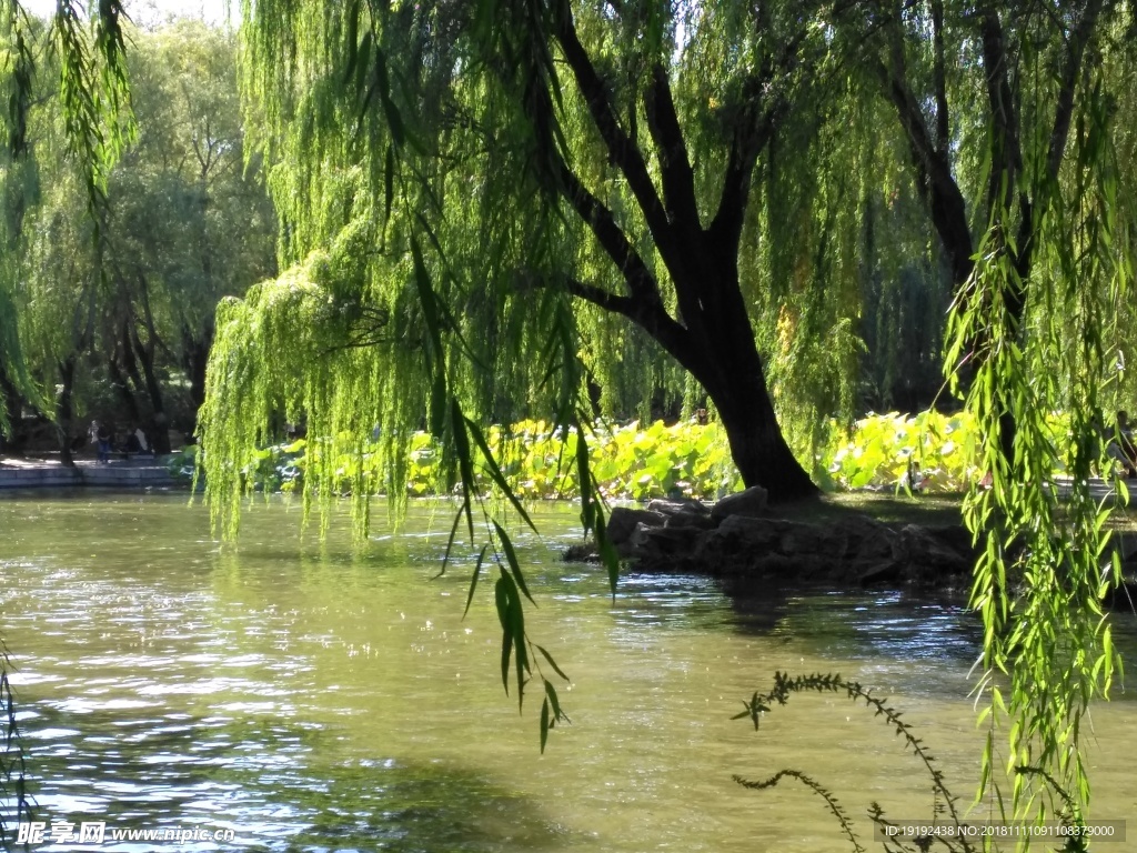 圆明园美景