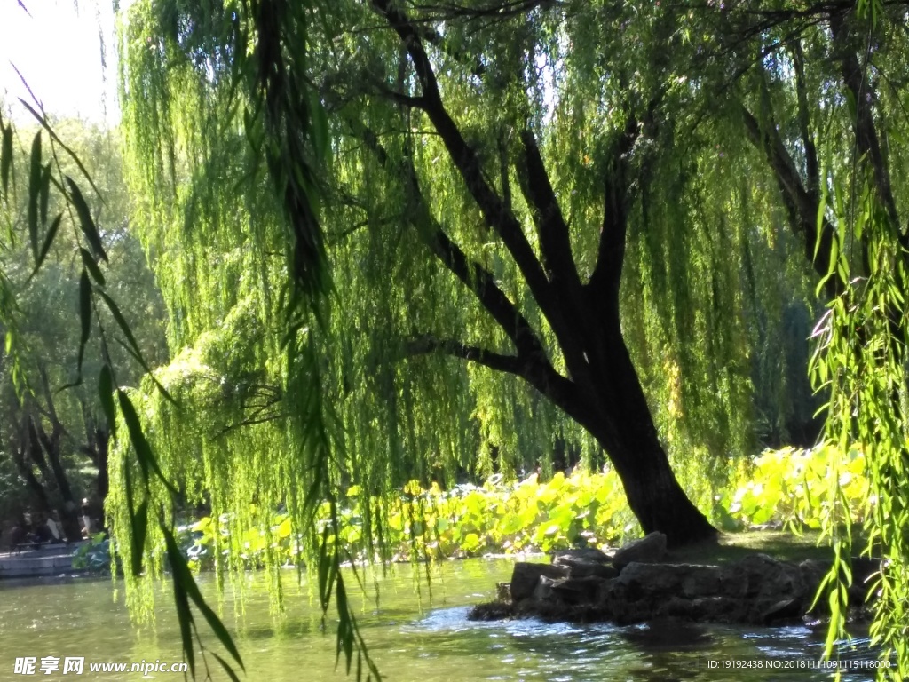 圆明园美景