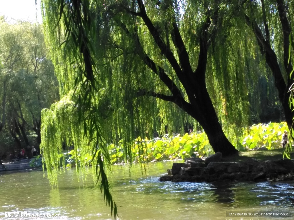 圆明园美景