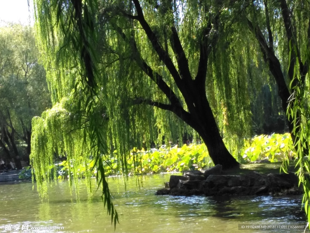 圆明园美景