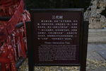 三代树讲解牌