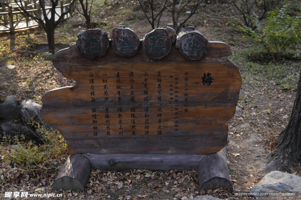 梅