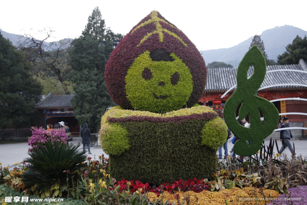 植物娃娃