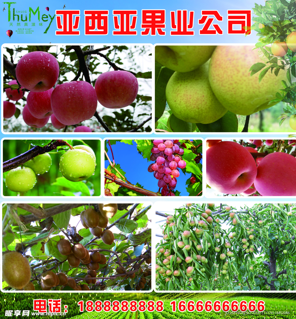 水果海报