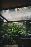 看雨