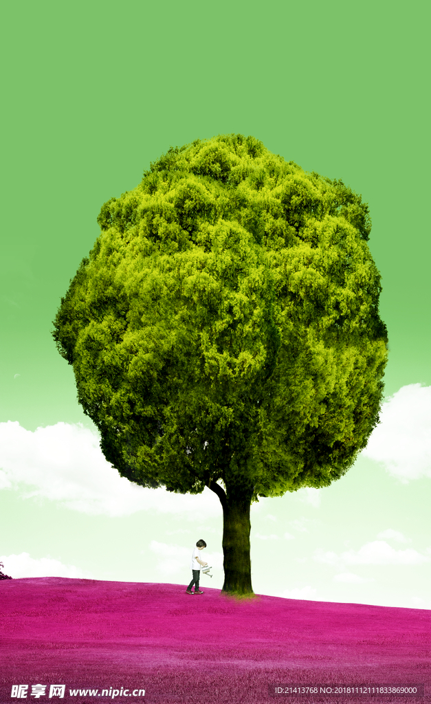 清新自然风景