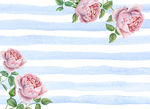 玫瑰花条纹手绘风格素材