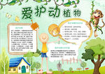 动物小报