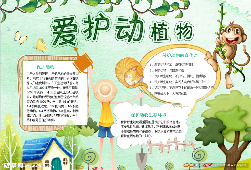 动物小报