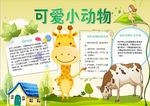 动物小报