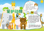 动物小报
