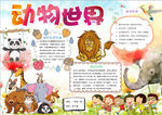 动物小报