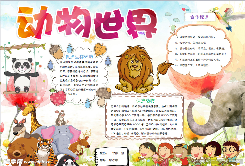 动物小报
