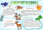 动物小报