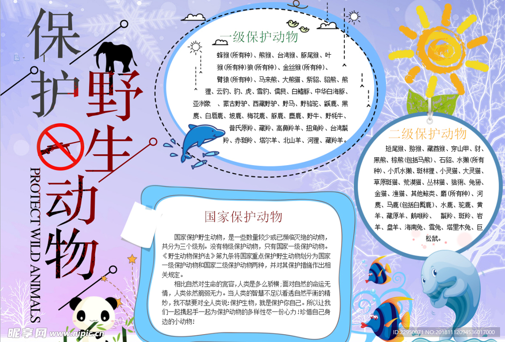 动物小报