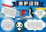 动物小报