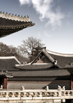 传统古建筑
