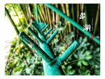 翠湖
