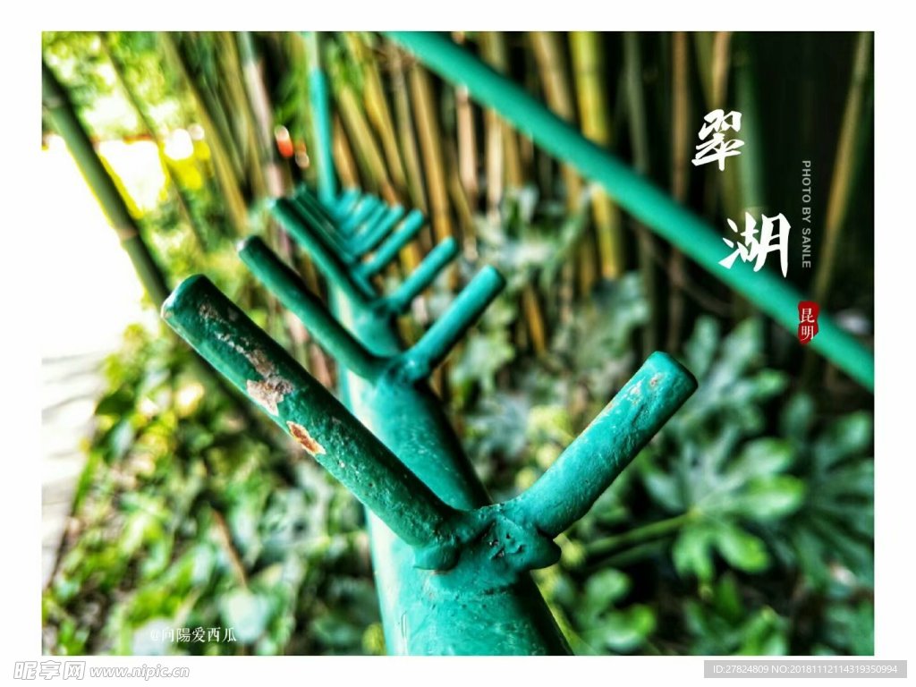 翠湖