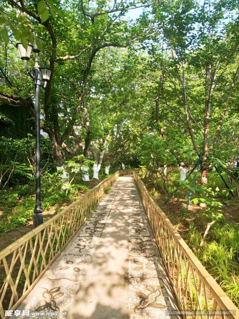 林荫小道