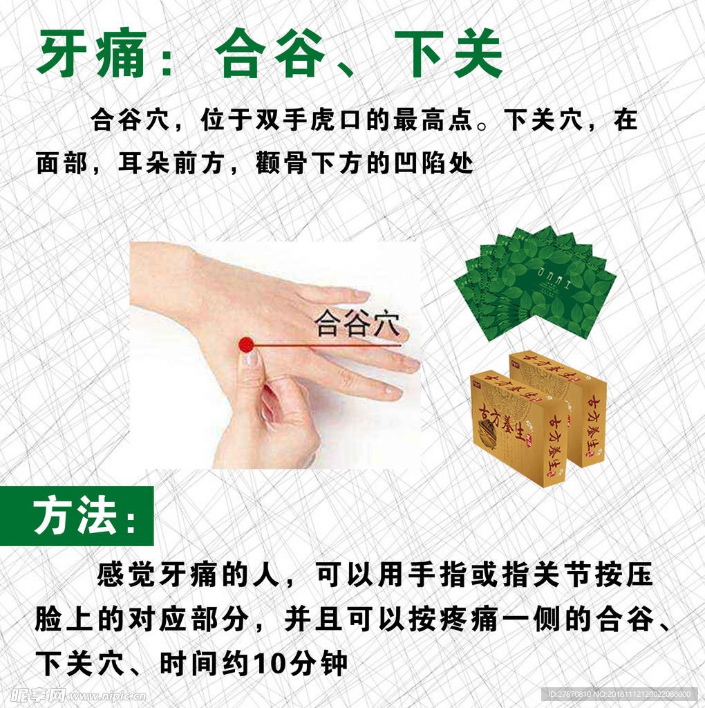 合谷 下关穴位