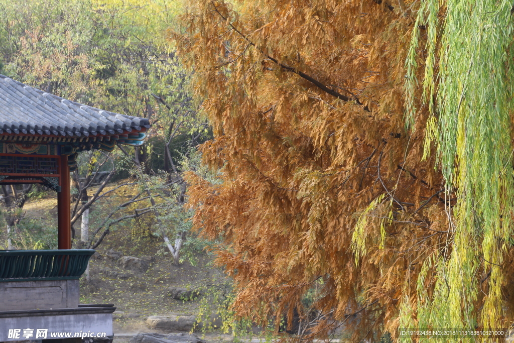 中山公园秋韵