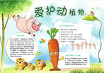 爱护动物小报